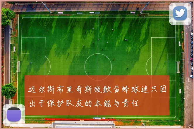 迈尔斯布里奇斯致歉黄蜂球迷只因出于保护队友的本能与责任