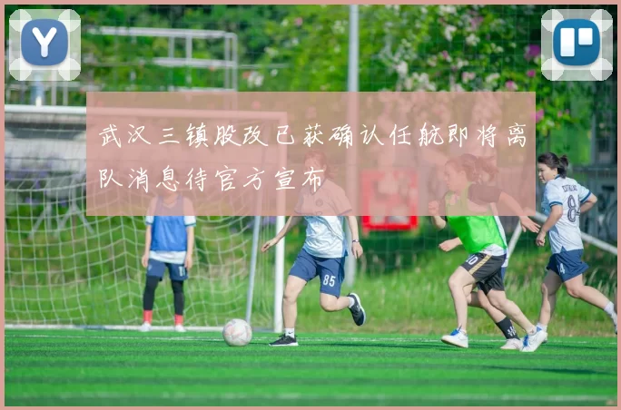 武汉三镇股改已获确认任航即将离队消息待官方宣布