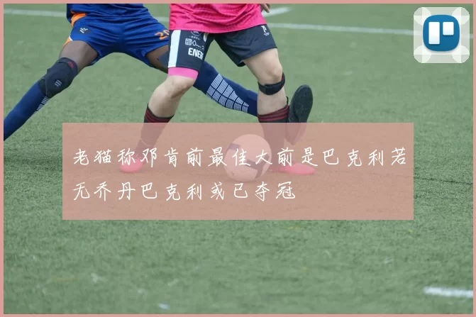 老猫称邓肯前最佳大前是巴克利若无乔丹巴克利或已夺冠